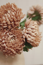 Load image into Gallery viewer, Chrysanthemum Stem, Dusty Pink