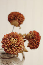 Load image into Gallery viewer, Pompon Dahlia Stem, Brown