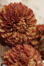 Load image into Gallery viewer, Pompon Dahlia Stem, Brown