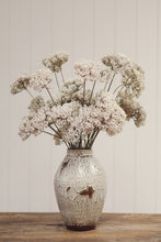 Load image into Gallery viewer, Queen Anne's Lace Spray