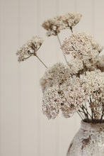 Load image into Gallery viewer, Queen Anne's Lace Spray