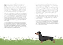 Load image into Gallery viewer, Sit, Stay, Grow: How Dogs Can Help You Worry Less and Walk Into a Better Future