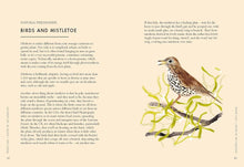 Load image into Gallery viewer, Planting Wildflowers