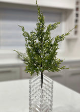 Load image into Gallery viewer, Real Touch Juniper Berry Spray