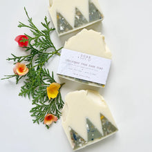 Load image into Gallery viewer, Christmas Tree Farm Soap Bar