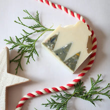 Load image into Gallery viewer, Christmas Tree Farm Soap Bar
