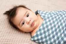 Load image into Gallery viewer, Lulujo Muslin Swaddle 2 Pack- Fish & Gingham