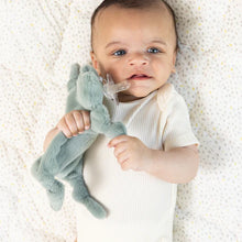 Load image into Gallery viewer, Bella Tunno Pacifier Buddy Freddie the Frog
