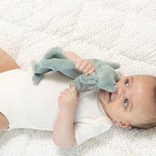 Load image into Gallery viewer, Bella Tunno Pacifier Buddy Freddie the Frog