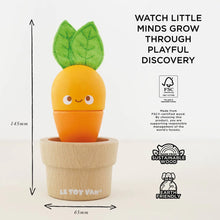 Load image into Gallery viewer, Le Toy Van: Stacking Wooden Veggies