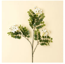 Load image into Gallery viewer, Locust Flower Branch