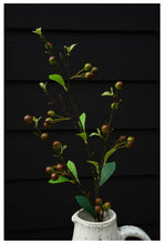 Load image into Gallery viewer, Hypericum Berry Spray