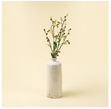 Load image into Gallery viewer, Hypericum Berry Spray
