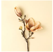Load image into Gallery viewer, Magnolia Branch, Cream