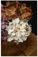 Load image into Gallery viewer, Hydrangea Bouquet, Cream