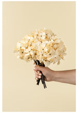 Load image into Gallery viewer, Hydrangea Bouquet, Cream