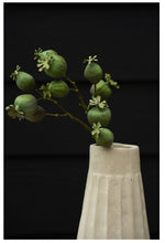 Load image into Gallery viewer, Poppy Pod Branch