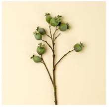 Load image into Gallery viewer, Poppy Pod Branch