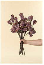 Load image into Gallery viewer, Magnolia Branch, Purple