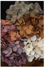 Load image into Gallery viewer, Hydrangea Bouquet, Deep Pink