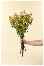 Load image into Gallery viewer, Rosehip Branch