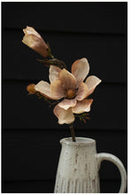 Load image into Gallery viewer, Magnolia Branch, Cream