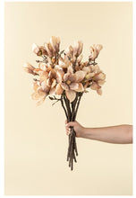 Load image into Gallery viewer, Magnolia Branch, Cream