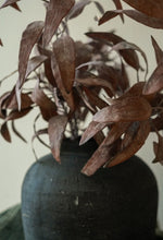 Load image into Gallery viewer, Dried Eucalyptus Stem, Purple