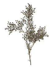 Load image into Gallery viewer, Dried Sedum Spray