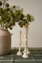 Load image into Gallery viewer, Green Wild Berry Spray