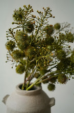 Load image into Gallery viewer, Green Wild Berry Spray