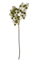Load image into Gallery viewer, Green Wild Berry Spray