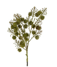 Load image into Gallery viewer, Green Wild Berry Spray