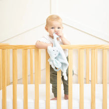 Load image into Gallery viewer, Bella Tunno Danny the Dog Teether Buddy