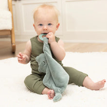 Load image into Gallery viewer, Bella Tunno Freddie the Frog Teether Buddy