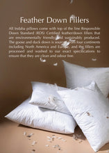 Load image into Gallery viewer, Pampas Lina Linen Cushion, 20 x 20"