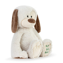 Load image into Gallery viewer, Best Big Brother Plush Dog
