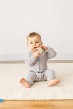 Load image into Gallery viewer, Puppy Ritzy Teether
