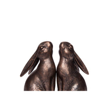 Load image into Gallery viewer, Rabbit Bookends