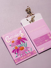 Load image into Gallery viewer, Purple Coneflowers (Healing) - Floriography Seed Packet