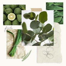 Load image into Gallery viewer, Thymes Eucalyptus Countertop Spray
