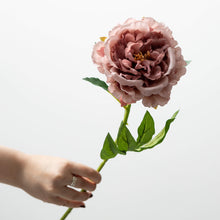 Load image into Gallery viewer, Pink Peony Stem