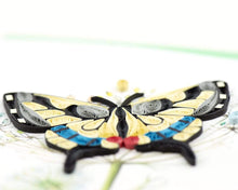 Load image into Gallery viewer, Swallowtail Butterfly Quilling Card