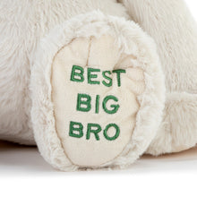 Load image into Gallery viewer, Best Big Brother Plush Dog