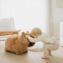 Load image into Gallery viewer, Soft Bouncy Capybara