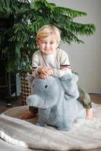 Load image into Gallery viewer, Soft Bouncy Elephant