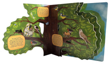Load image into Gallery viewer, Discovering The World of Bird Nests