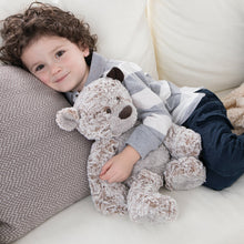 Load image into Gallery viewer, Giving Bear