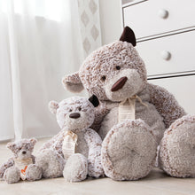 Load image into Gallery viewer, Giving Bear