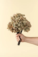 Load image into Gallery viewer, Hydrangea Bouquet, Vintage Green
